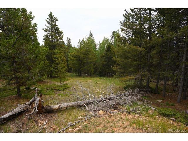 0 Lamartine Rd, Idaho Springs, CO 80452