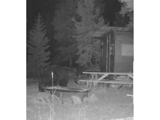 0 Lamartine Rd, Idaho Springs, CO 80452