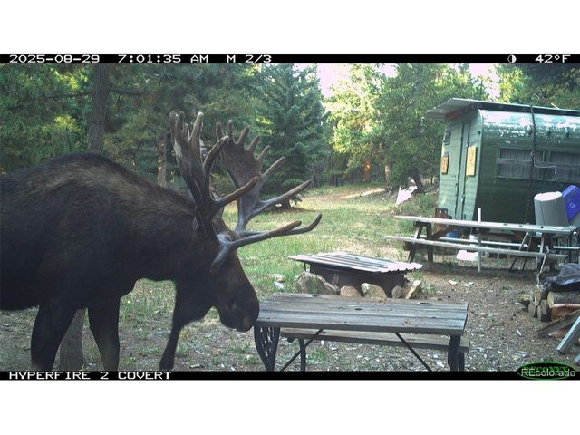 0 Lamartine Rd, Idaho Springs, CO 80452