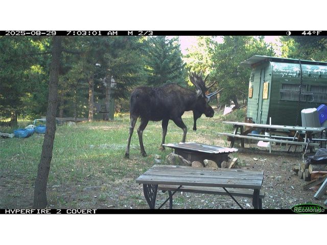 0 Lamartine Rd, Idaho Springs, CO 80452