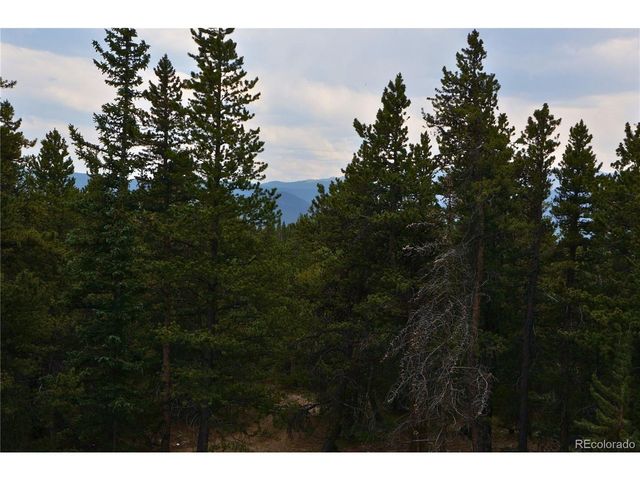 0 Lamartine Rd, Idaho Springs, CO 80452