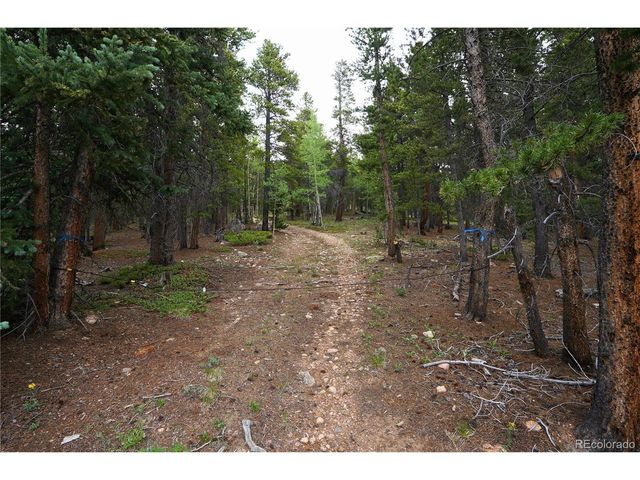 0 Lamartine Rd, Idaho Springs, CO 80452