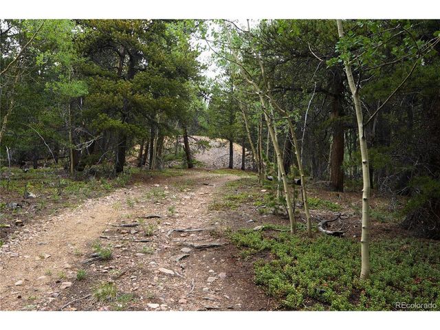 0 Lamartine Rd, Idaho Springs, CO 80452