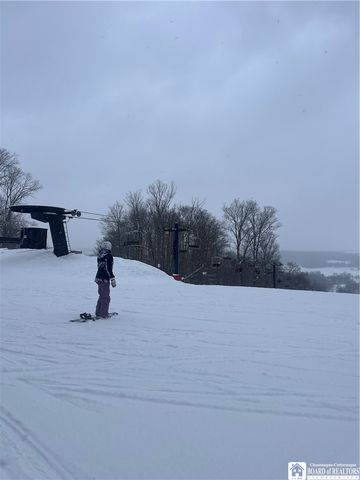 8415 Highlands Drive, French Creek, NY 14724