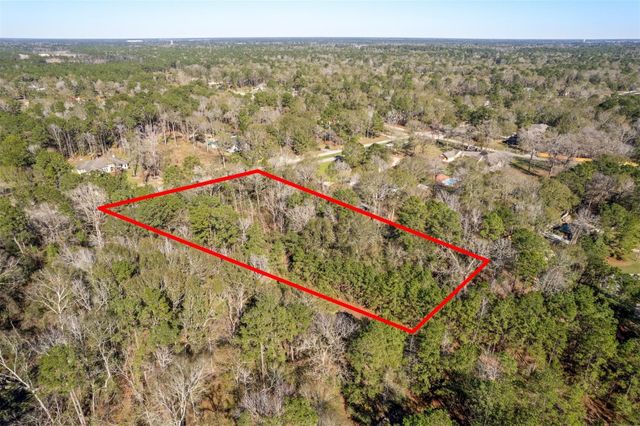 19388 Riverwalk Drive, Porter, TX 77365