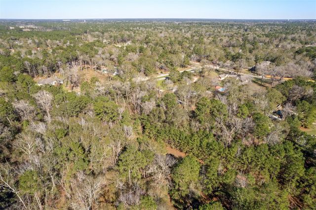 19388 Riverwalk Drive, Porter, TX 77365