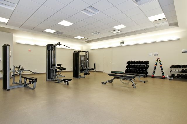 240 E ILLINOIS Street 1509, Chicago, IL 60611