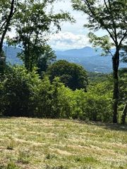 #38 Sleepy Hollow Drive, Waynesville, NC 28785