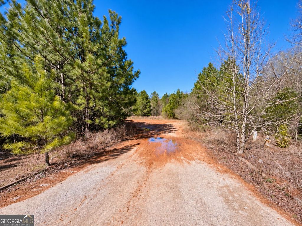 162 Hwy 162, Covington, GA 30016 — photo 3