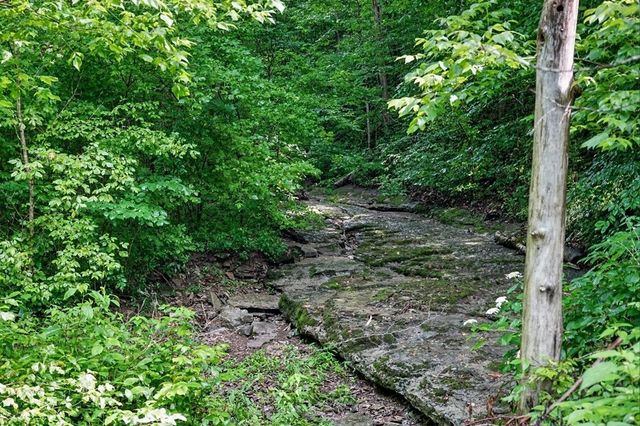 278 Aaron Pennington Ln, Celina, TN 38551