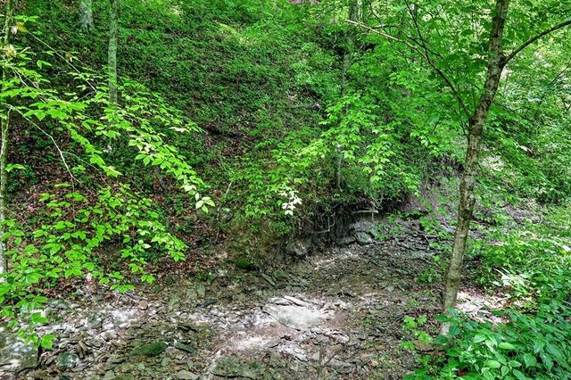 278 Aaron Pennington Ln, Celina, TN 38551