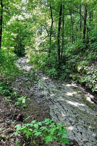278 Aaron Pennington Ln, Celina, TN 38551