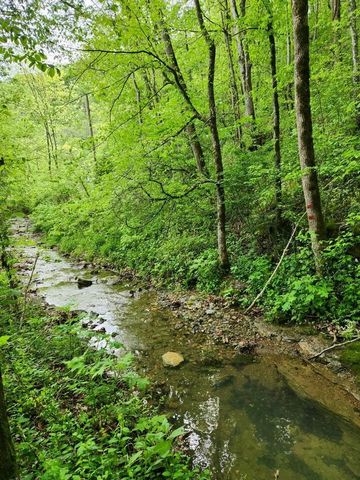 278 Aaron Pennington Ln, Celina, TN 38551