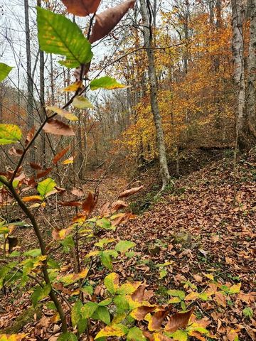 278 Aaron Pennington Ln, Celina, TN 38551