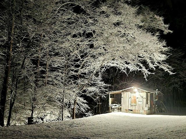 278 Aaron Pennington Ln, Celina, TN 38551