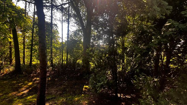 217 Old Creek Drive, Saline, MI 48176