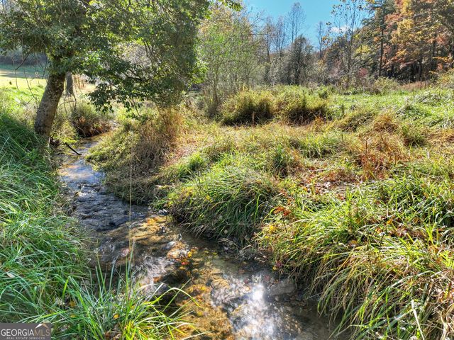 89 High Meadows Court, Morganton, GA 30560