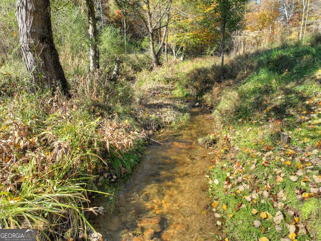 89 High Meadows Court, Morganton, GA 30560