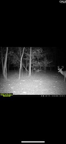 3600 KENNERLY Road, Irmo, SC 29063