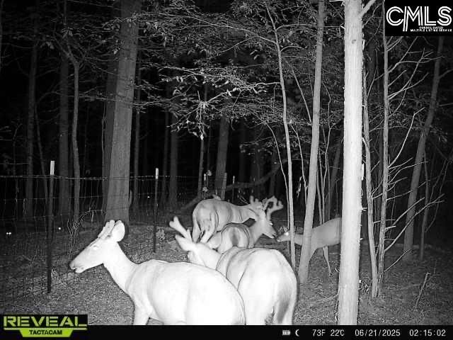 3600 KENNERLY Road, Irmo, SC 29063