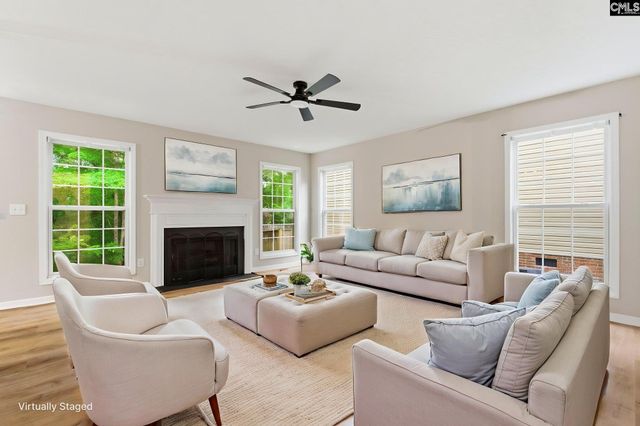 321 Delaine Woods Drive, Irmo, SC 29063