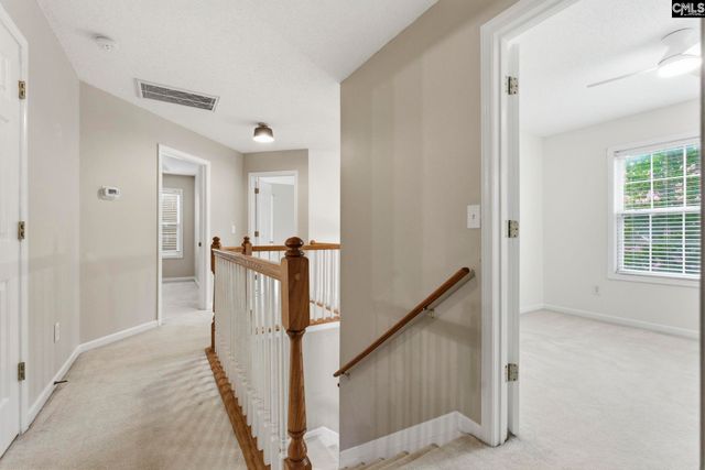 321 Delaine Woods Drive, Irmo, SC 29063