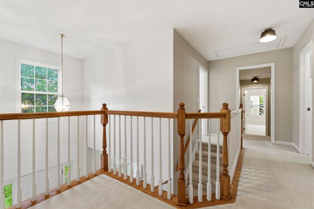 321 Delaine Woods Drive, Irmo, SC 29063