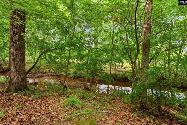 321 Delaine Woods Drive, Irmo, SC 29063