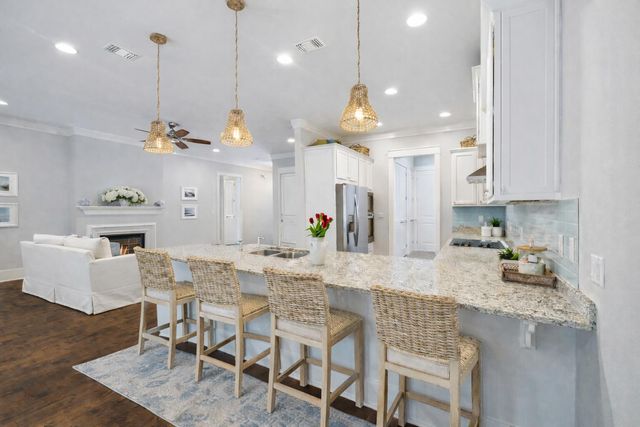 180 Blakely Drew Boulevard, Santa Rosa Beach, FL 32459
