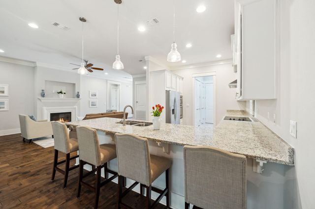 180 Blakely Drew Boulevard, Santa Rosa Beach, FL 32459