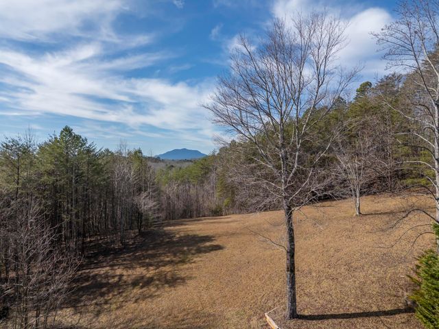 4006 Polk county line Road, Rutherfordton, NC 28139
