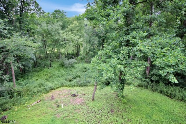 149 N Locust Lake Rd, Hope Twp., NJ 07825