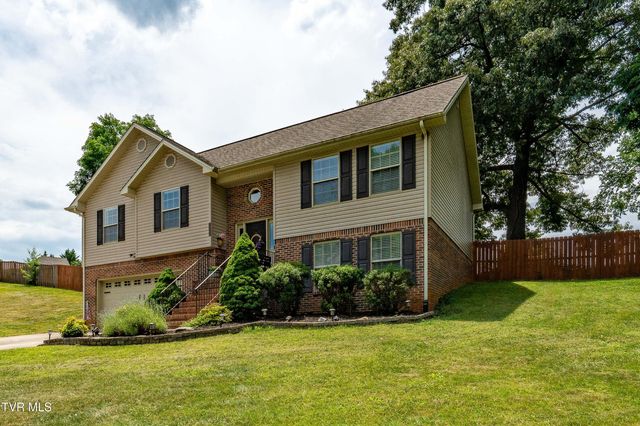 2904 Muskett Drive, Johnson City, TN 37604