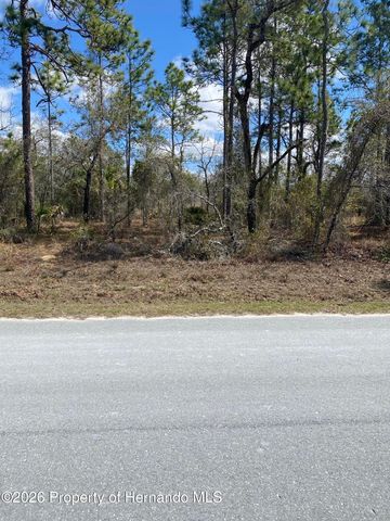 14330 Dusky Warbler Road, Brooksville, FL 34614