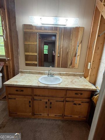 398 Taylors Chapel Road, Rabun Gap, GA 30568