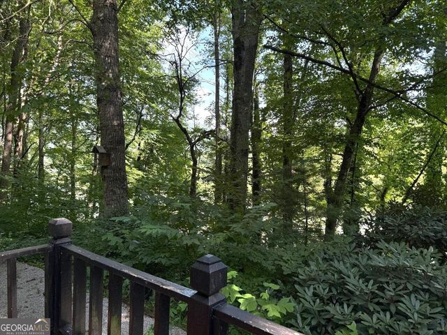 398 Taylors Chapel Road, Rabun Gap, GA 30568