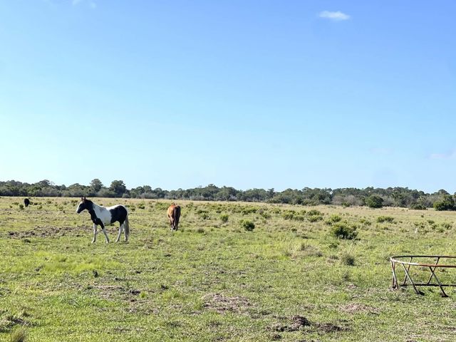 8121 NW 58th Lane, Okeechobee, FL 34972