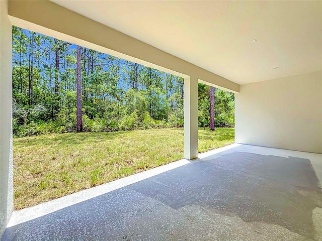 41334 PERSIMMON STREET, Eustis, FL 32736