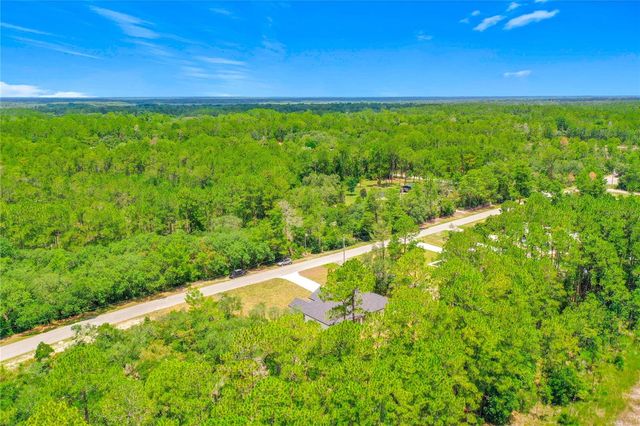 41334 PERSIMMON STREET, Eustis, FL 32736