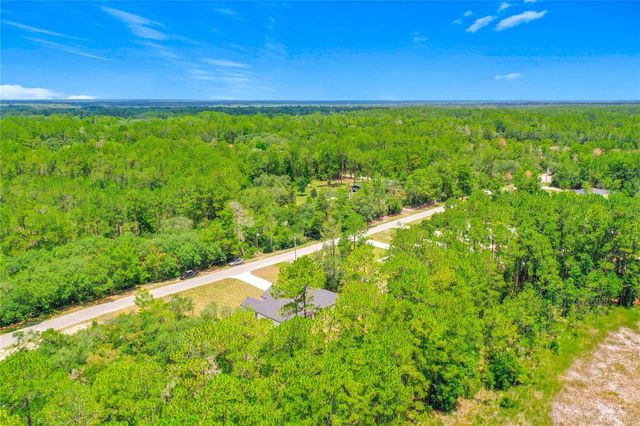 41334 PERSIMMON STREET, Eustis, FL 32736