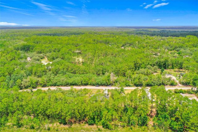 41334 PERSIMMON STREET, Eustis, FL 32736