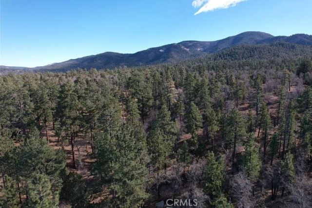 899 Kern, Sugarloaf, CA 92386