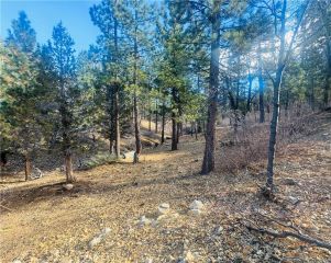 899 Kern, Sugarloaf, CA 92386