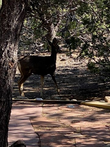 64 Cibola Circle, Santa Fe, NM 87505