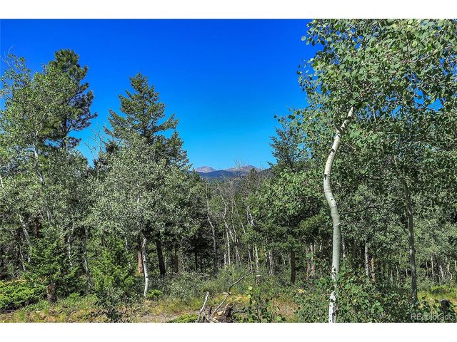 9 Hughesville Rd, Black Hawk, CO 80422
