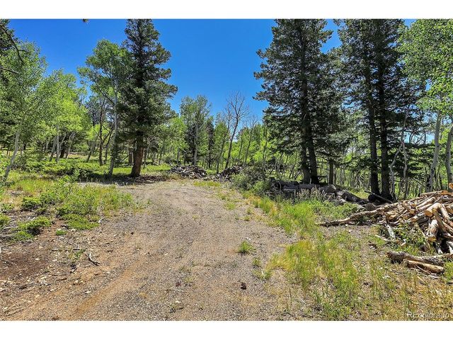 9 Hughesville Rd, Black Hawk, CO 80422
