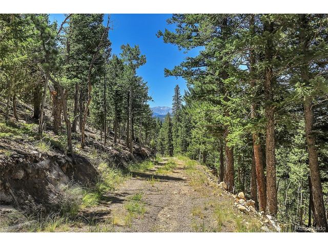 9 Hughesville Rd, Black Hawk, CO 80422