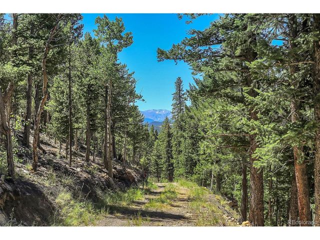 9 Hughesville Rd, Black Hawk, CO 80422