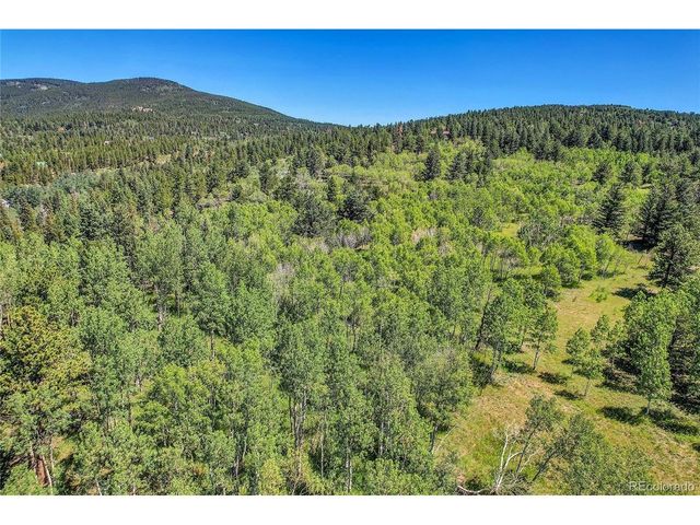 9 Hughesville Rd, Black Hawk, CO 80422