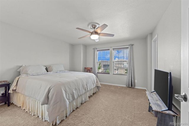 8056 Longleaf Lane, Colorado Springs, CO 80927